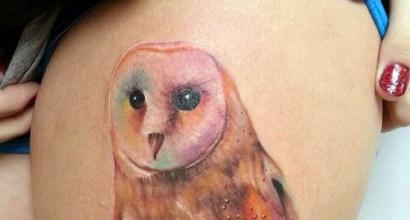 Сова. Значение татуировки. Что означает татуировка совы, филина на теле: примеры, фото. Татуировка для женщин и мужчин — сова, филин: примеры, фото, эскизы, видео Эскизы совы для тату