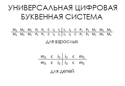 Формула зубов в стоматологии картинки